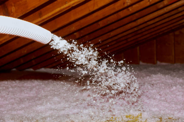 Types of Insulation We Offer in Pinellas Park, FL