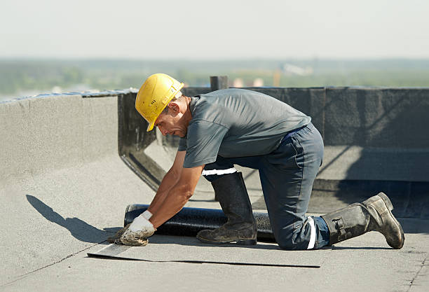 Types of Insulation We Offer in Pinellas Park, FL